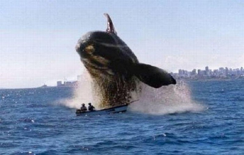 Leap of Faith