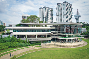 Science and Technology Undergraduate Scholarship at National University of Singapore 2023 - 2024